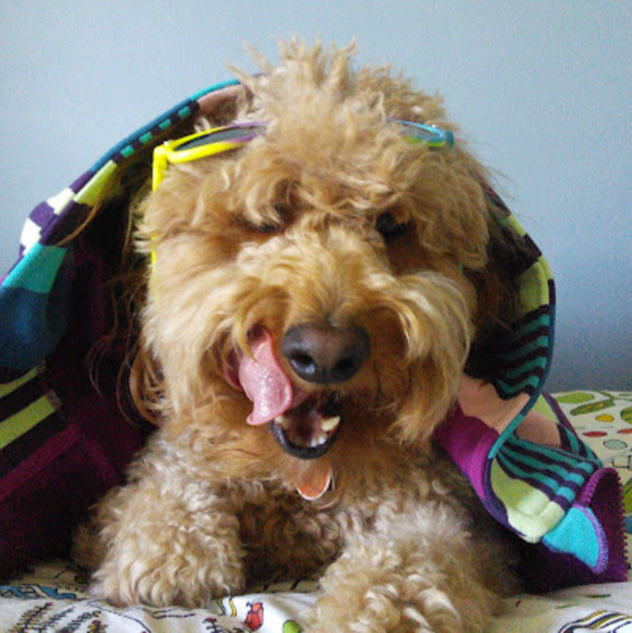 Meet your Posher, Alisondra - Picture 1 of 1